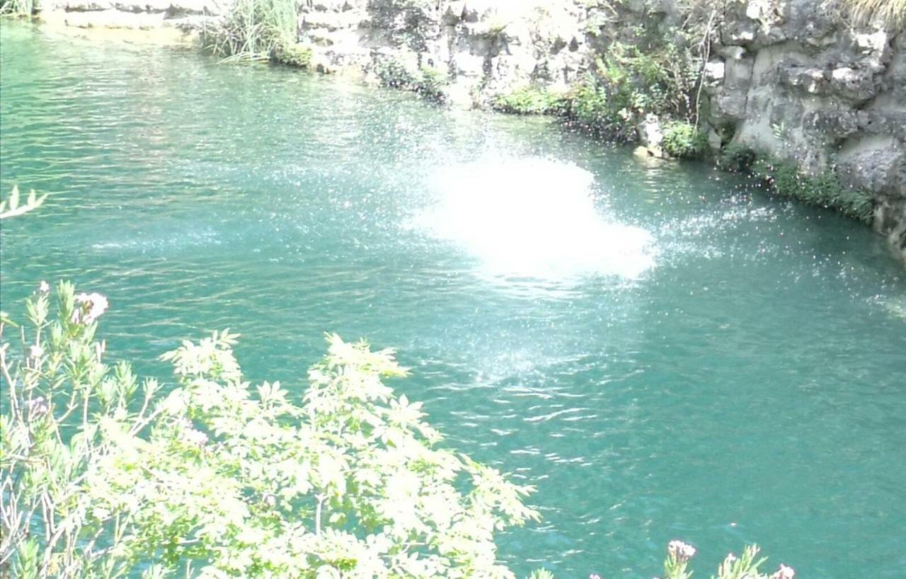 أفولا Arenaria B&B المظهر الخارجي الصورة